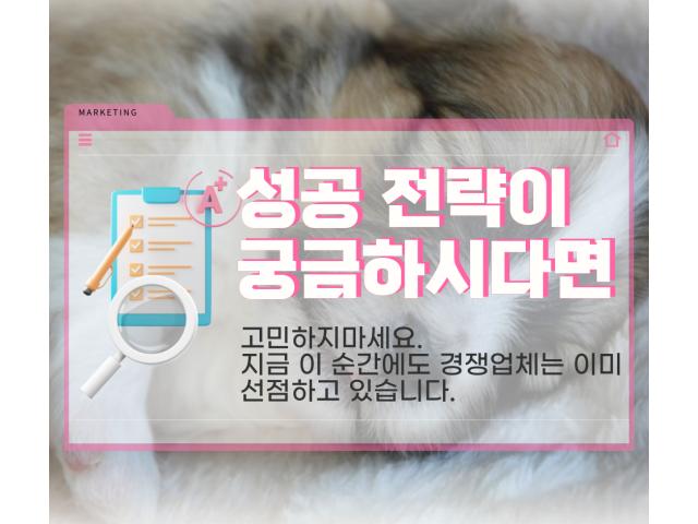 판교강아지분양