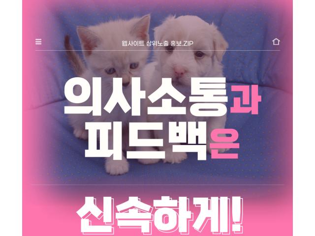 판교강아지분양