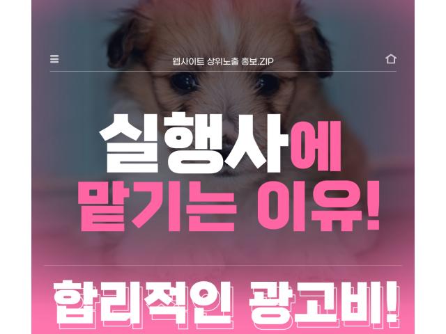 판교강아지분양